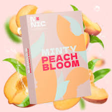 NoNic Air Core - Mint Peach Bloom Cores